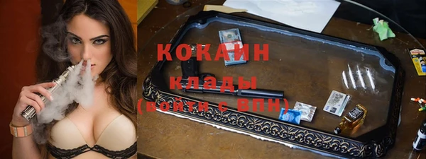 стаф Кулебаки