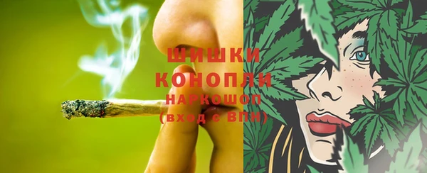 стаф Кулебаки