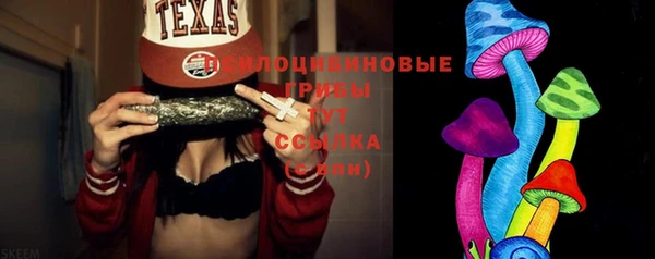 стаф Кулебаки