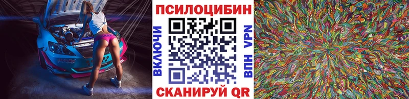 Псилоцибиновые грибы Cubensis Любань