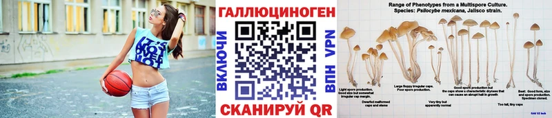 Галлюциногенные грибы Psilocybine cubensis  mega маркетплейс  Любань 